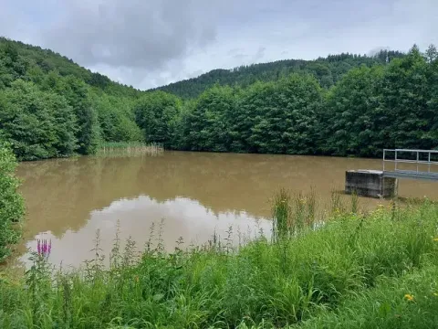 Pronájem rybníku, Slopné, 4871 m2