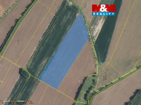 Prodej pole, Damníkov, 72416 m2