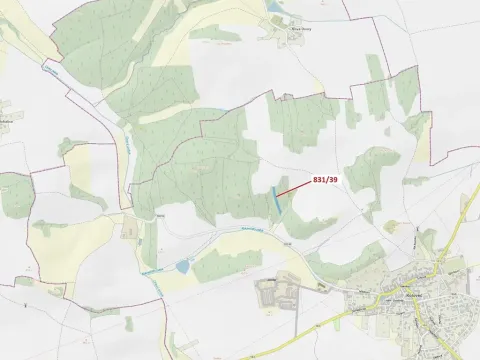 Dražba lesa, Koloveč, 3368 m2