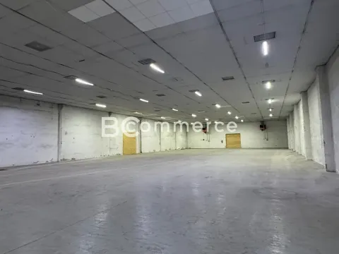 Pronájem skladu, Brno, 1672 m2