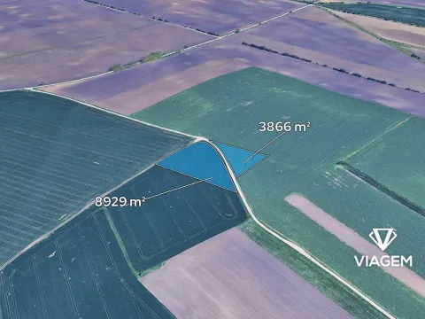 Prodej podílu pole, Velké Němčice, 2132 m2