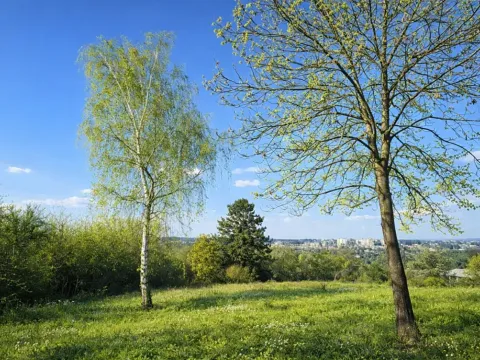 Prodej pozemku, Praha, 1096 m2