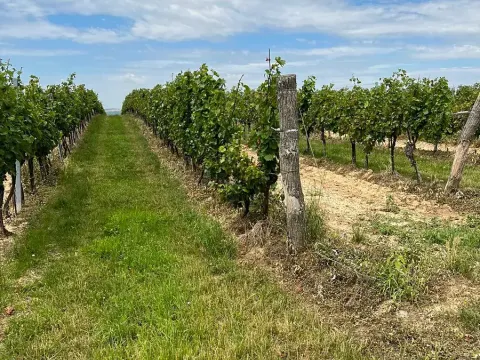 Prodej podílu pozemku, Vracov, 152 m2