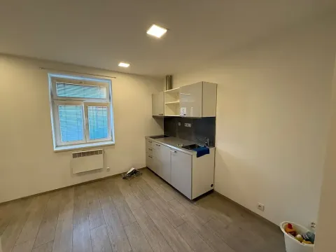 Pronájem bytu 1+kk, Praha - Vršovice, Holandská, 20 m2