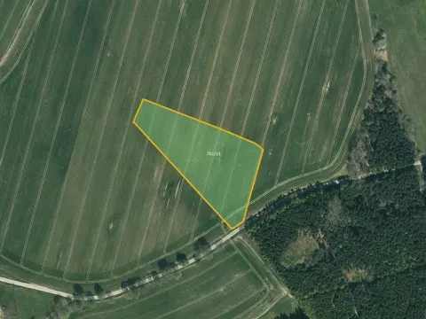 Prodej pole, Načeradec, 5469 m2