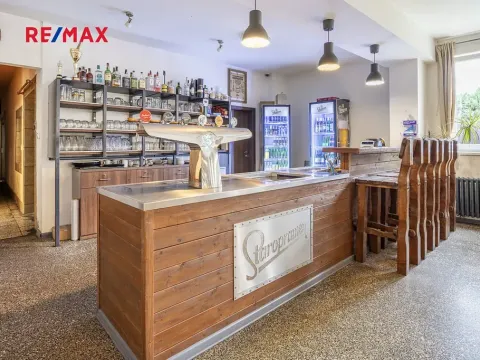 Prodej obchodního prostoru, Čelákovice, Rumunská, 794 m2