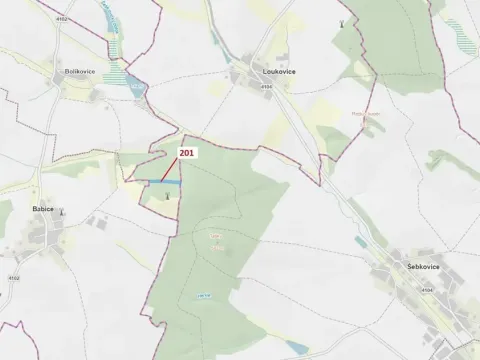 Dražba lesa, Loukovice, 7796 m2