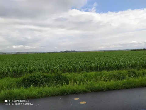 Prodej pozemku pro bydlení, Dolní Ředice, 12434 m2