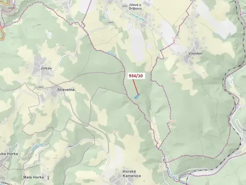 Dražba lesa, Jílové u Držkova, 4305 m2