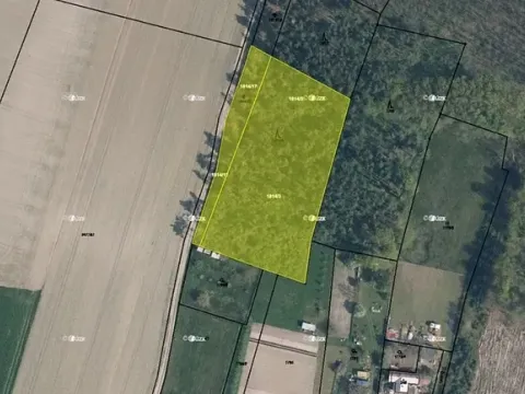 Prodej lesa, Bechlín, 6309 m2