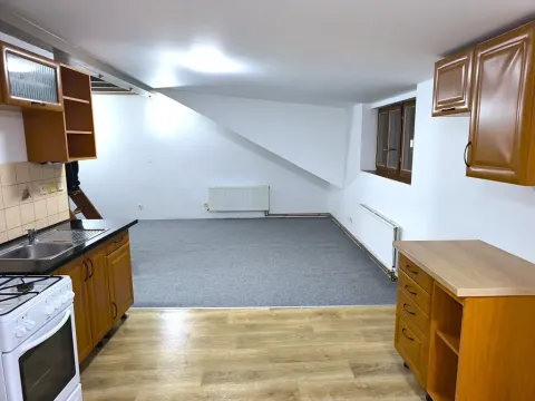 Pronájem bytu 1+kk, Slaný, Palackého, 25 m2
