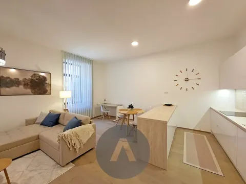 Pronájem bytu 2+kk, Brno, Leitnerova, 60 m2