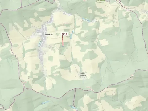 Dražba lesa, Zděchov, 867 m2