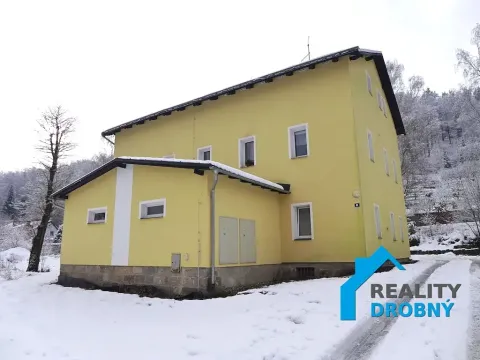 Pronájem bytu 1+1, Děčín, Družstevní, 37 m2
