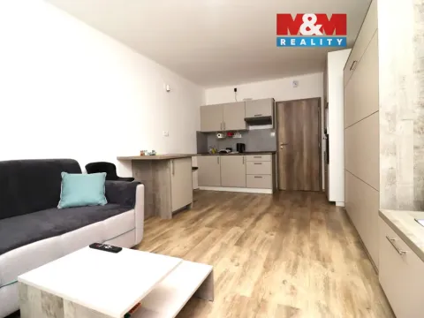 Pronájem bytu 1+kk, Ostrov - Horní Žďár, 28 m2