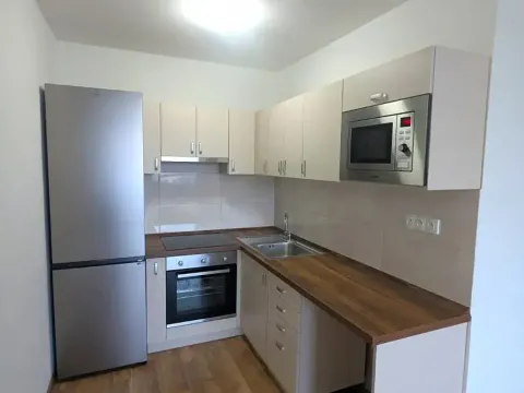 Pronájem bytu 2+kk, Teplice, Trnovanská, 47 m2