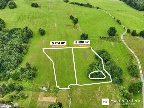 Prodej pozemku pro bydlení, Pulečný, 4466 m2