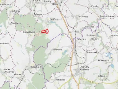 Prodej lesa, Bratčice, 5000 m2