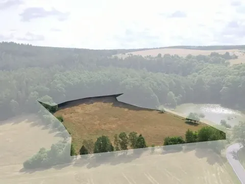 Prodej pole, Nečtiny, 17446 m2