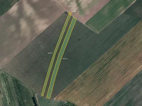 Prodej pole, Čejkovice, 19254 m2