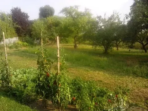 Prodej pozemku pro bydlení, Uherský Ostroh, 600 m2