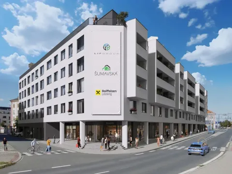 Prodej bytu 2+kk, Plzeň - Východní Předměstí, Šumavská, 99 m2