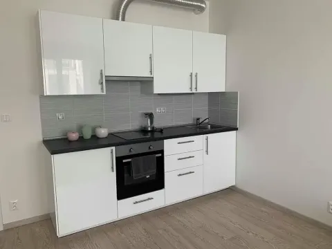 Pronájem bytu 1+kk, Praha - Dejvice, Lindleyova, 37 m2