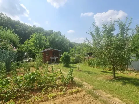 Pronájem zahrady, Brno, 438 m2