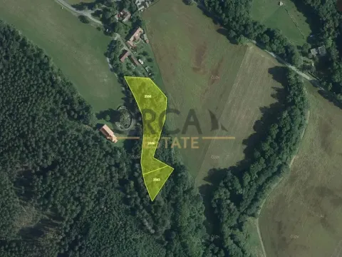 Prodej louky, Luže, 6578 m2