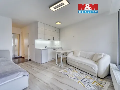 Prodej bytu 1+kk, Plzeň - Východní Předměstí, Slovanská, 39 m2