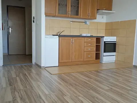 Pronájem bytu 1+kk, Havířov, Letní, 30 m2