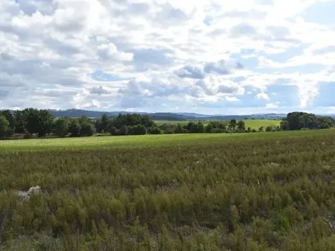 Prodej pozemku pro bydlení, Benešov, 1348 m2