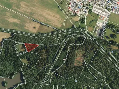 Prodej lesa, Františkovy Lázně, Jezerní, 2956 m2