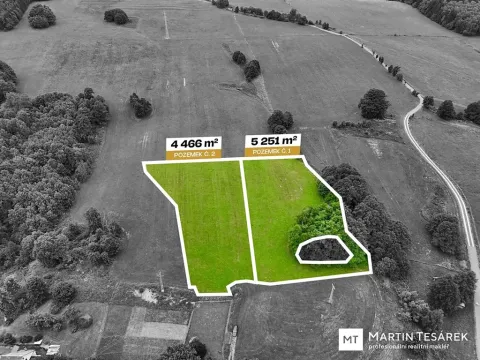 Prodej pozemku pro bydlení, Pulečný, 9697 m2