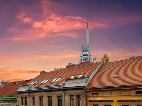 Prodej bytu 2+1, Praha - Žižkov, Bořivojova, 77 m2