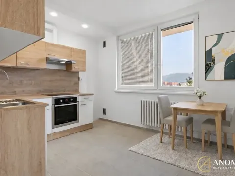 Pronájem bytu 1+1, Brno, Vavřinecká, 35 m2