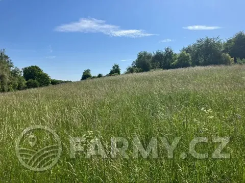 Prodej pole, Kouřim, 12974 m2