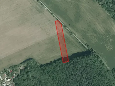 Prodej pole, Roštín, 7348 m2