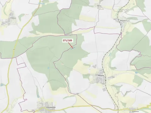 Dražba lesa, Milavče, 2398 m2