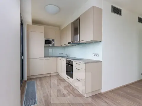 Pronájem bytu 2+kk, Praha - Žižkov, Olšanská, 66 m2