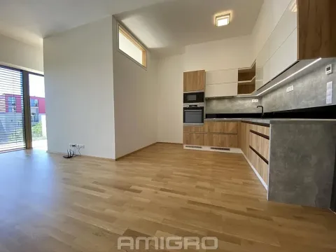 Pronájem bytu 1+kk, Brno, Šumavská, 43 m2