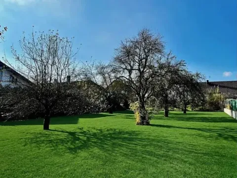 Prodej zahrady, Blížejov, K Potoku, 1450 m2