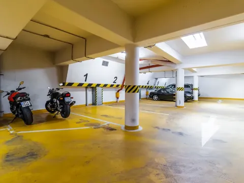 Pronájem garážového stání, Praha - Žižkov, Dalimilova, 13 m2