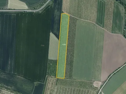 Prodej sadu/vinice, Želkovice, 28919 m2