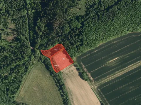 Prodej louky, Bělotín, 7028 m2