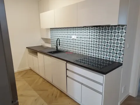 Pronájem bytu 2+kk, Ostrava, Myslbekova, 43 m2