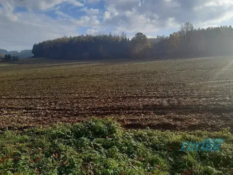 Prodej pozemku pro bydlení, Klatovy, 16834 m2