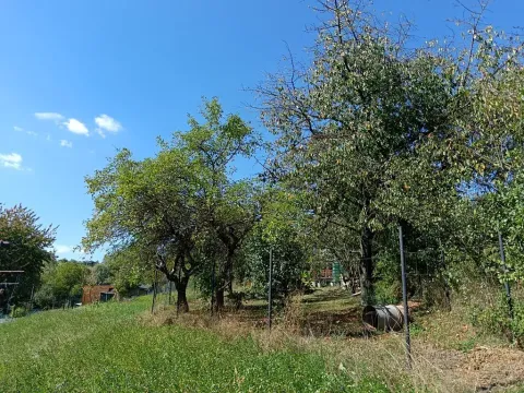 Prodej zahrady, Bojkovice, 1208 m2