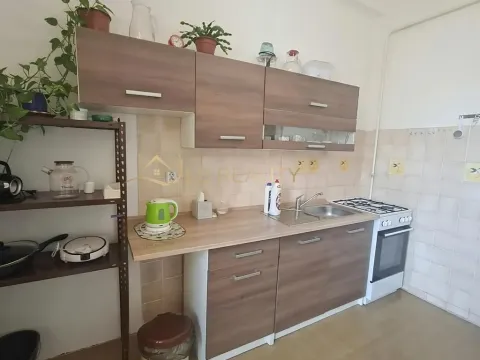 Pronájem bytu 1+1, Olomouc, Zeyerova, 40 m2