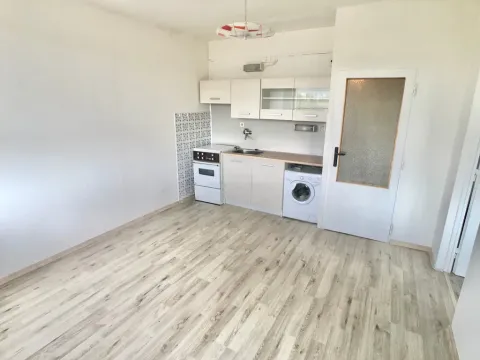 Pronájem bytu 1+1, Teplice, Bratislavská, 41 m2